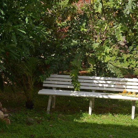 Residence De Vacances Mon Refuge - Bungalow De Type T3 Grande Anse ภายนอก รูปภาพ
