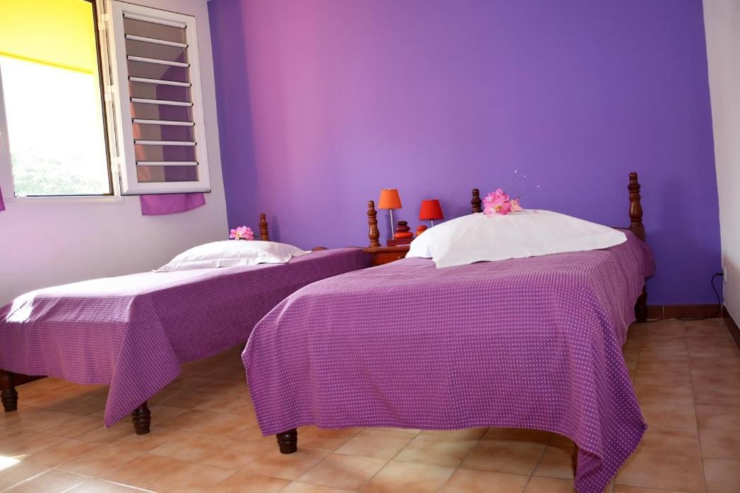 Residence De Vacances Mon Refuge - Bungalow De Type T3 Grande Anse ภายนอก รูปภาพ