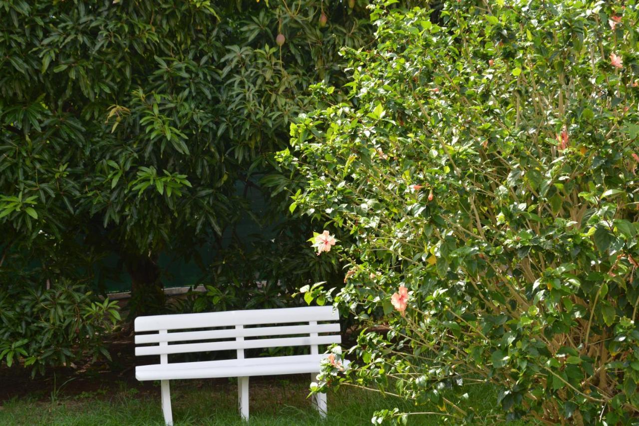 Residence De Vacances Mon Refuge - Bungalow De Type T3 Grande Anse ภายนอก รูปภาพ