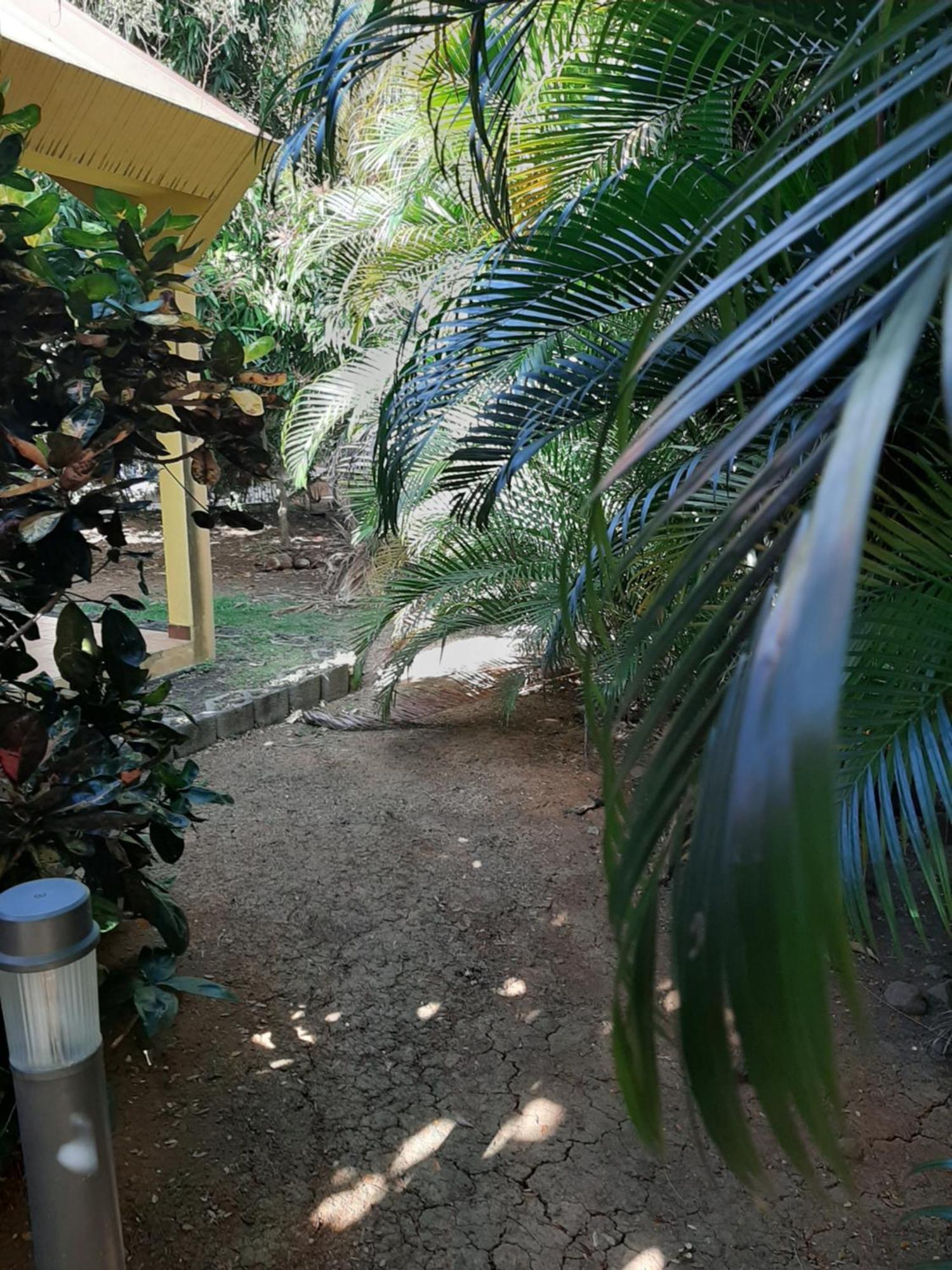 Residence De Vacances Mon Refuge - Bungalow De Type T3 Grande Anse ภายนอก รูปภาพ
