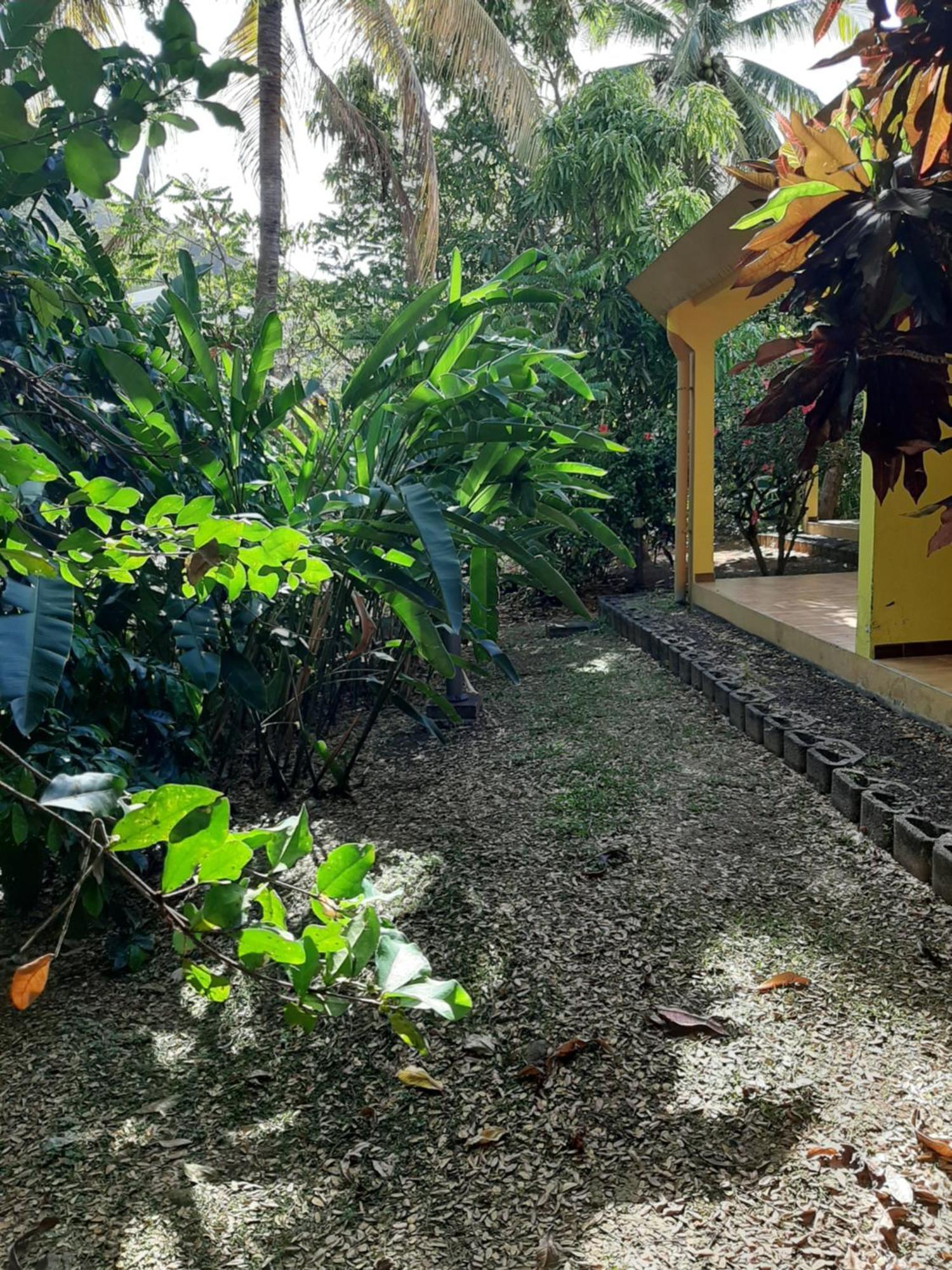 Residence De Vacances Mon Refuge - Bungalow De Type T3 Grande Anse ภายนอก รูปภาพ